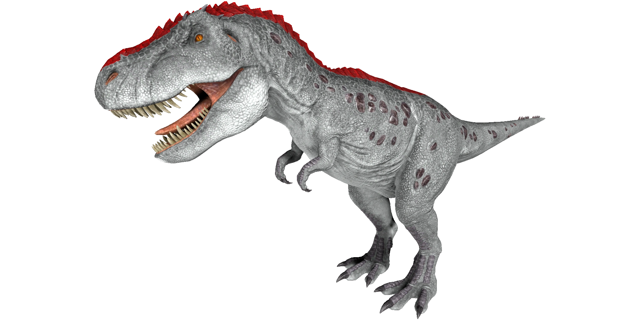 Special Taming Example Image