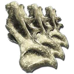 Sauropod Vertebra