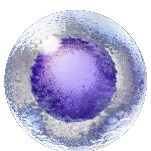 Rhyniognatha Pheromone