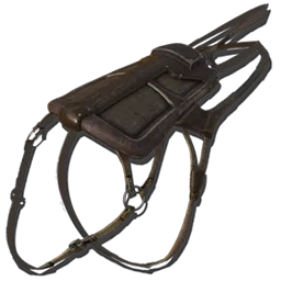 Primitive Ichthyosaurus Saddle