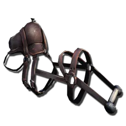 Primitive Pelagornis Saddle