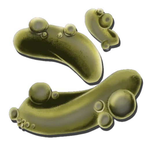 Reaper Pheromone Gland