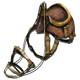 Primitive Phiomia Saddle