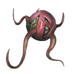 Plant Species Y Trap