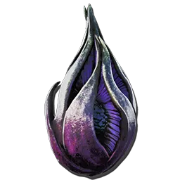 Plant Species Z Fruit