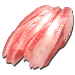 Raw Fish Meat