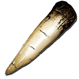 Alpha Tyrannosaur Tooth