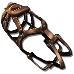 Primitive Tusoteuthis Saddle